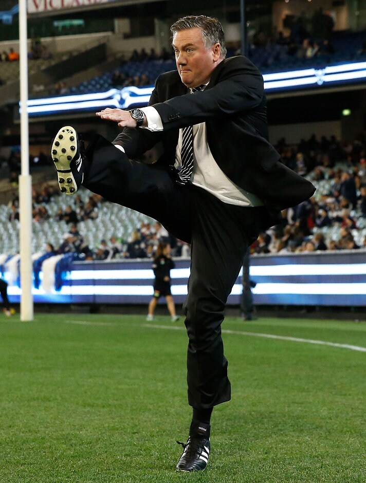 AFL 2015 Rd 22 - Geelong v Collingwood Eddie McGuire wants to kick on with a new football stadium close to the MCG - ${keywords}